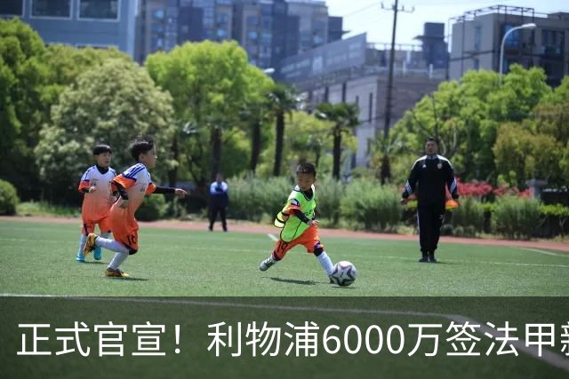 正式官宣！利物浦6000万签法甲新星，身价暴涨3倍，将接班科纳特