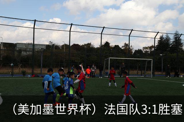 （美加墨世界杯）法国队3:1胜塞内加尔 姆巴佩梅开二度